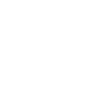 mavericks logo white