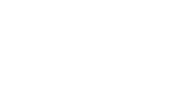 logo flowia white